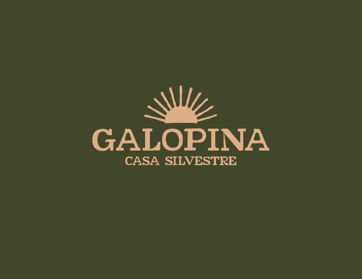 Bed and Breakfast Galopina Seye Экстерьер фото